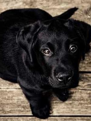 Optimized Test Image 1